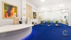 Charm Studio Videochat Birou Receptie 1.0 Parter