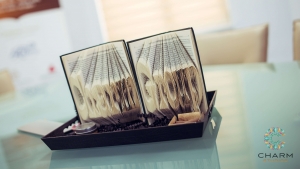 Charm Studio Videochat Conference Room 1.1